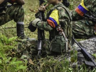 Exgukerrilleras de las FARC