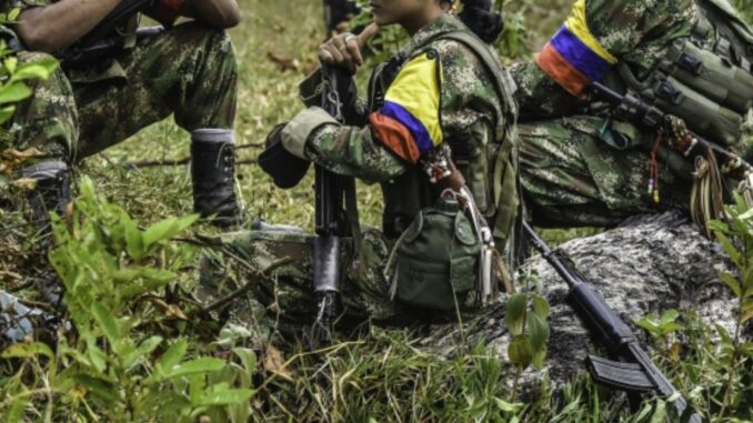 Exgukerrilleras de las FARC