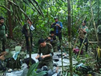 Menores Huitoto rescatados de la selva por militares e indígenas