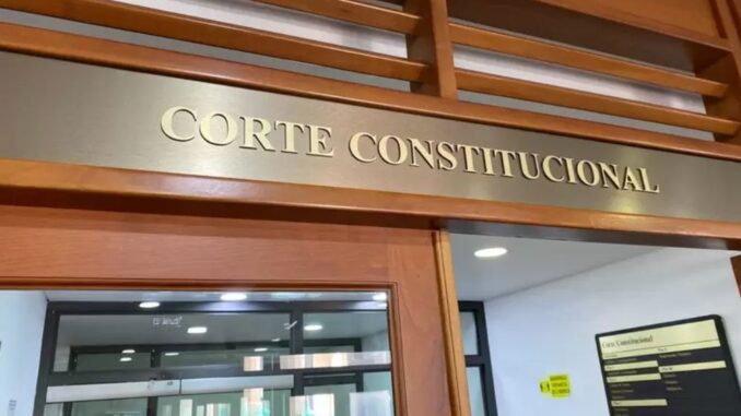 corte constitucional 12