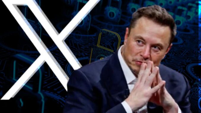 elon x