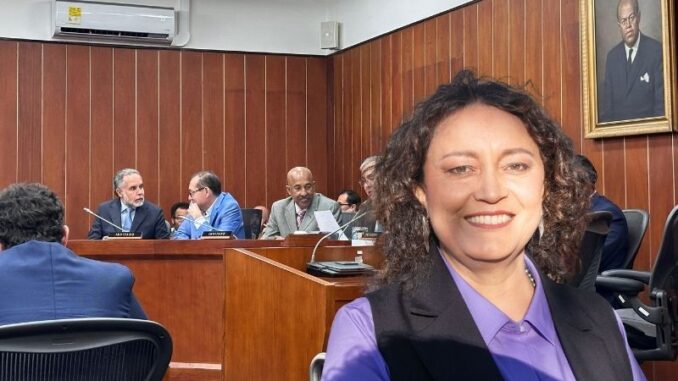 angelica comisión IV