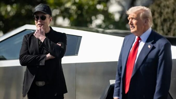elon musk - donald trump