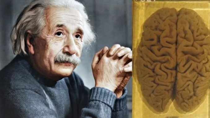 FOTOS PARA PAGINA WEB 1024x600