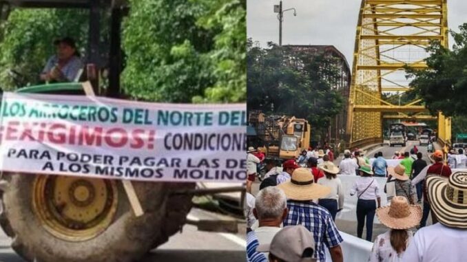 arroceros
