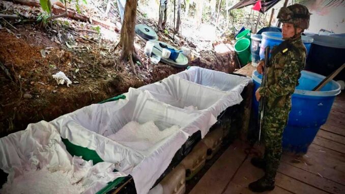 Operación de las Fuerzas Militares permitió desmantelar 11 laboratorios de droga en el sur del Meta