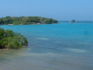 Acuerdo COP18 para proteger el Mar Caribe